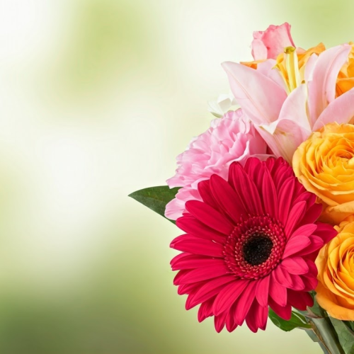 Same-Day Flower Delivery Goresbridge – Unbeatable Selection